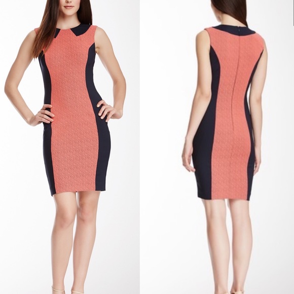 French Connection Dresses & Skirts - French Connection Lux Lace Dress in Holiday Crush